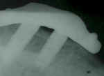 ft131106.jpg (55712 bytes)